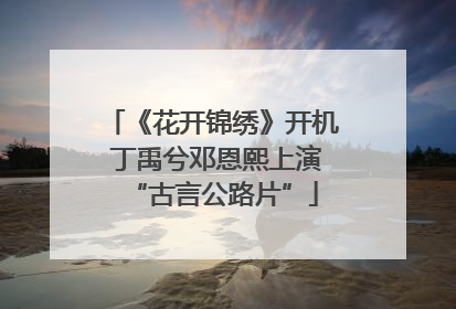 《花开锦绣》开机 丁禹兮邓恩熙上演“古言公路片”
