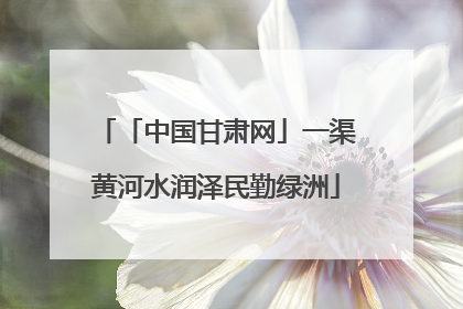 「中国甘肃网」一渠黄河水润泽民勤绿洲