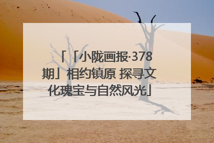 「小陇画报·378期」相约镇原 探寻文化瑰宝与自然风光