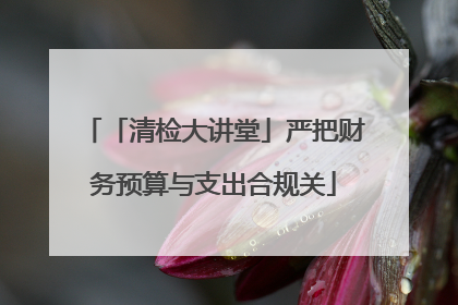 「清检大讲堂」严把财务预算与支出合规关