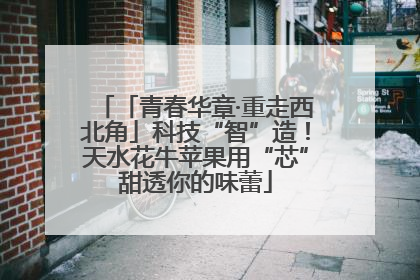 「青春华章·重走西北角」科技“智”造！天水花牛苹果用“芯”甜透你的味蕾