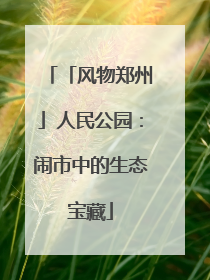 「风物郑州」人民公园：闹市中的生态宝藏