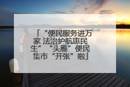 “便民服务进万家 法治护航惠民生”“头雁”便民集市“开张”啦