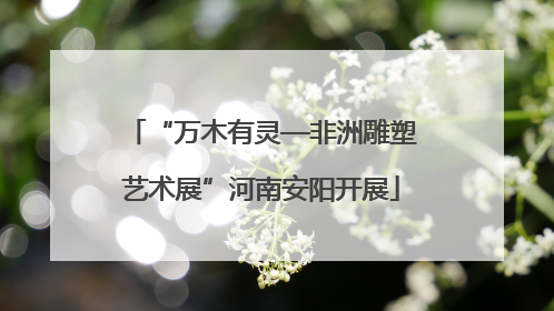 “万木有灵—非洲雕塑艺术展”河南安阳开展