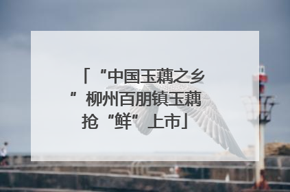 “中国玉藕之乡”柳州百朋镇玉藕抢“鲜”上市