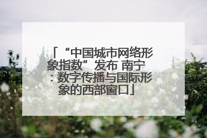 “中国城市网络形象指数”发布 南宁：数字传播与国际形象的西部窗口