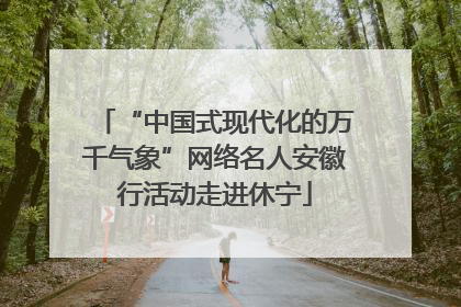 “中国式现代化的万千气象”网络名人安徽行活动走进休宁