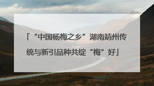 “中国杨梅之乡”湖南靖州传统与新引品种共绽“梅”好