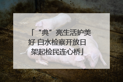“典”亮生活护美好 白水检察开放日架起检民连心桥