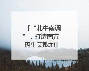 “北牛南调”，打造南方肉牛集散地