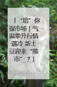 “培”你探市场｜气温攀升行情遇冷 新土豆迎来“熊市”？