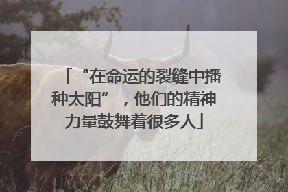 “在命运的裂缝中播种太阳”，他们的精神力量鼓舞着很多人