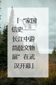“家国信史——长江中游简牍文物展”在武汉开幕