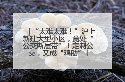 “太难太难！”沪上新建大型小区，竟处“公交断层带”！定制公交，又成“鸡肋”