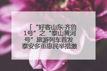 “好客山东·齐鲁1号”之“泰山黄河号”旅游列车首发 泰安多重惠民举措激活文旅消费新动能