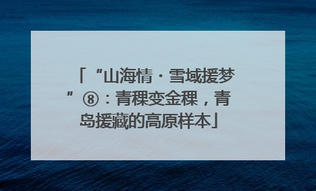 “山海情・雪域援梦”⑧：青稞变金稞，青岛援藏的高原样本