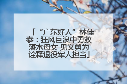 “广东好人”林佳泰：狂风巨浪中勇救落水母女 见义勇为诠释退役军人担当
