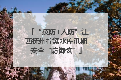“技防+人防”江西抚州拧紧水库汛期安全“防御弦”