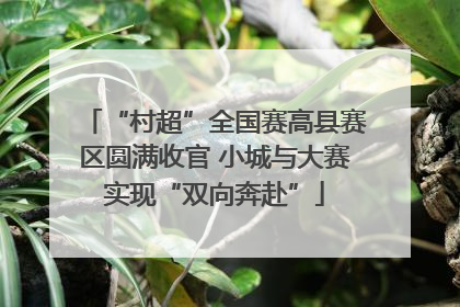 “村超”全国赛高县赛区圆满收官 小城与大赛实现“双向奔赴”