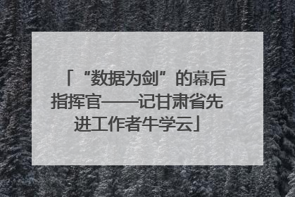 “数据为剑”的幕后指挥官——记甘肃省先进工作者牛学云