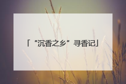 “沉香之乡”寻香记