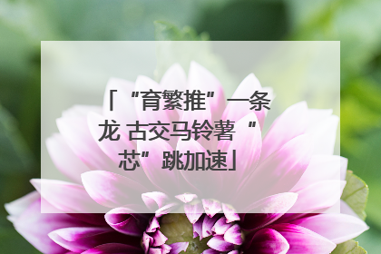 “育繁推”一条龙 古交马铃薯“芯”跳加速