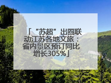 “苏超”出圈联动江苏各地文旅：省内景区预订同比增长305%