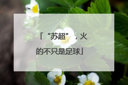 “苏超”，火的不只是足球