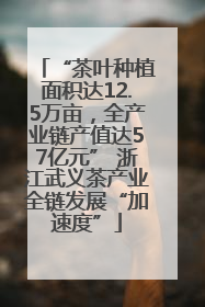 “茶叶种植面积达12.5万亩，全产业链产值达57亿元” 浙江武义茶产业全链发展“加速度”