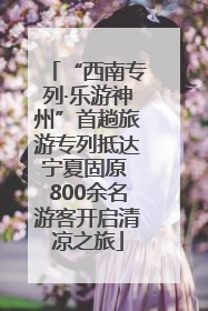 “西南专列·乐游神州”首趟旅游专列抵达宁夏固原 800余名游客开启清凉之旅