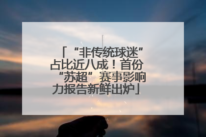 “非传统球迷”占比近八成！首份“苏超”赛事影响力报告新鲜出炉