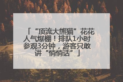 “顶流大熊猫”花花人气爆棚！排队1小时参观3分钟，游客只敢讲“悄悄话”