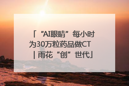 “AI眼睛”每小时为30万粒药品做CT｜雨花“创”世代