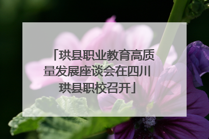 珙县职业教育高质量发展座谈会在四川珙县职校召开