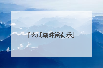 玄武湖畔赏荷乐
