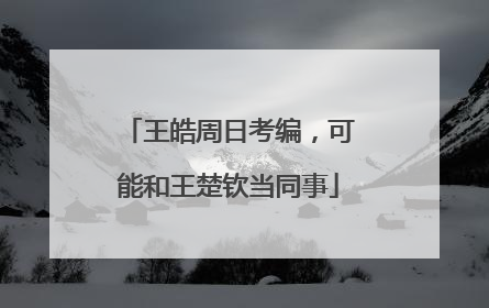 王皓周日考编，可能和王楚钦当同事