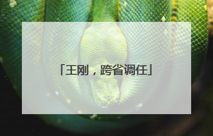 王刚，跨省调任