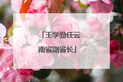 王学勤任云南省副省长