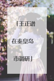王正谱在秦皇岛市调研