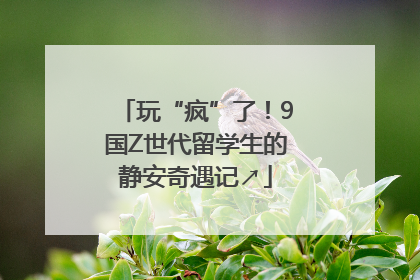 玩“疯”了！9国Z世代留学生的静安奇遇记↗