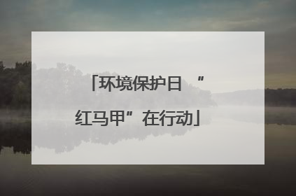 环境保护日 “红马甲”在行动