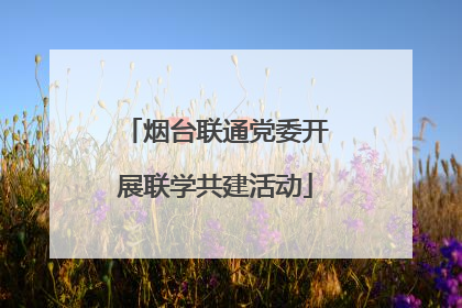 烟台联通党委开展联学共建活动
