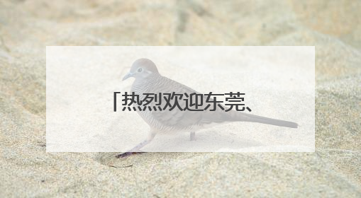 热烈欢迎东莞、佛山两地客户代表团莅临itc保伦股份考察交流