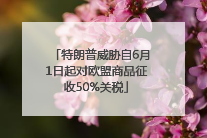 特朗普威胁自6月1日起对欧盟商品征收50%关税