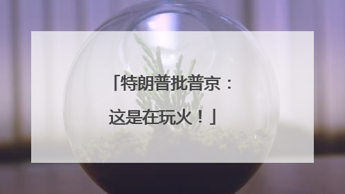 特朗普批普京：这是在玩火！