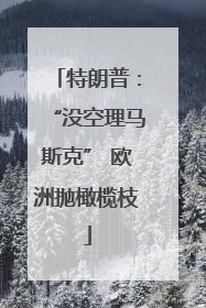 特朗普：“没空理马斯克” 欧洲抛橄榄枝