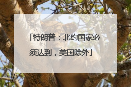 特朗普：北约国家必须达到，美国除外