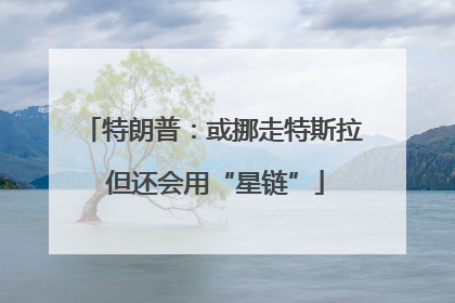 特朗普：或挪走特斯拉 但还会用“星链”