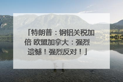 特朗普：钢铝关税加倍 欧盟加拿大：强烈遗憾！强烈反对！