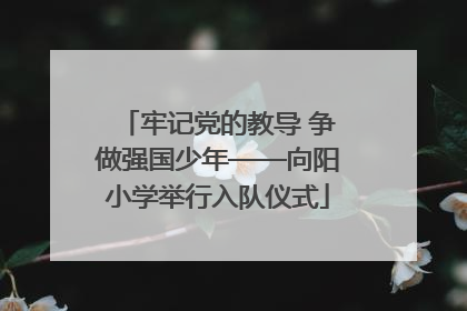 牢记党的教导 争做强国少年——向阳小学举行入队仪式